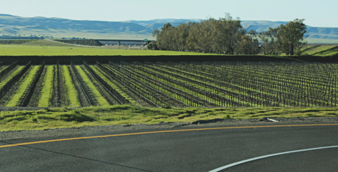 Wine Country Back Roads California