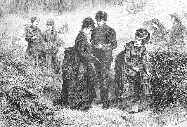 Иллюстрация, изображающая процесс сбора папоротника (1871 год)