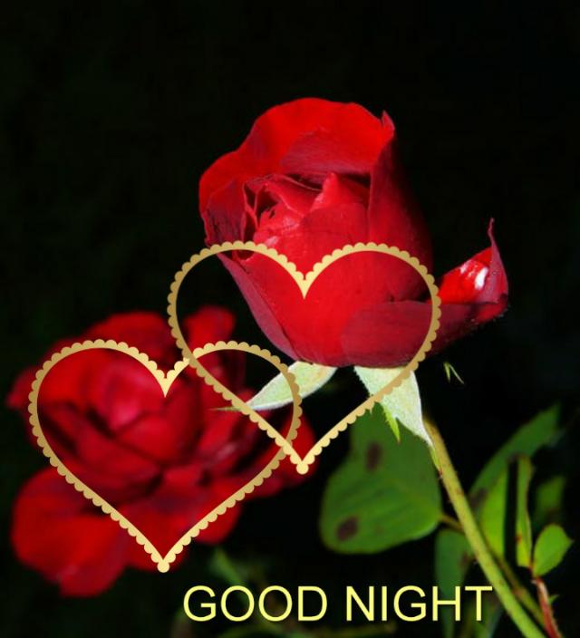 good night my sweet heart hd images Free Download ,good night sweet ...