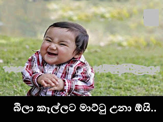 Sri Lanka University News Education Campus School ශ ර
