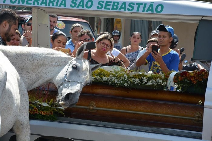 Heart-Melting Pictures Of Grieving Horse Smelling His Owner’s Casket And Breaking Down At Funeral