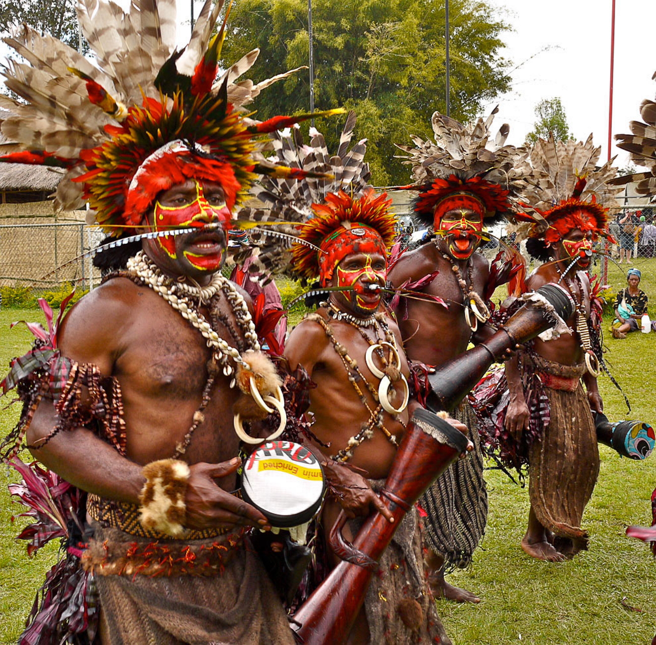Племя гвинея. Папуа — новая Гвинея. Папуа новая Гвинея Папуасы. Папуасы новой Гвинеи. Папуасы остров Папуа.