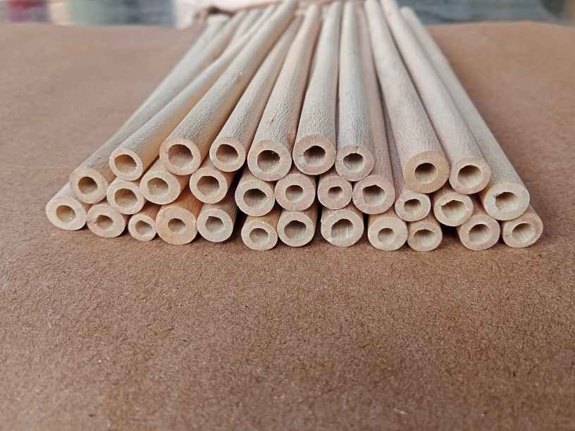 Best Substitution for Plastic Straws