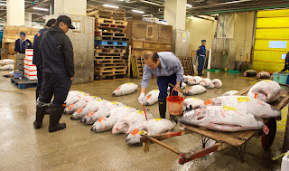 Tsukiji Market - Рыбный рынок Цукидзи, Токио