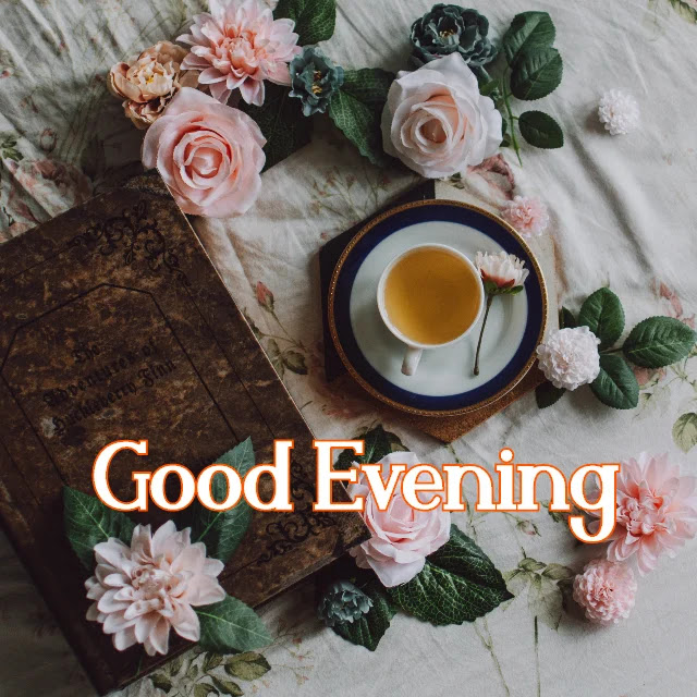Good Evening Images Good Evening Images