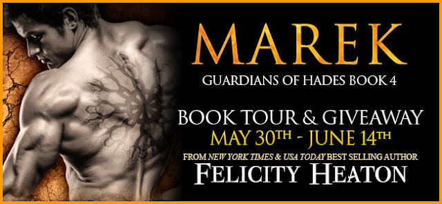 Throne Of Secrets Wicked Kingdoms Book 3 By Graceley Knox Blog