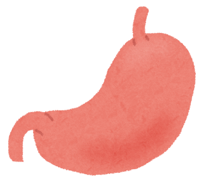 胃のイラスト