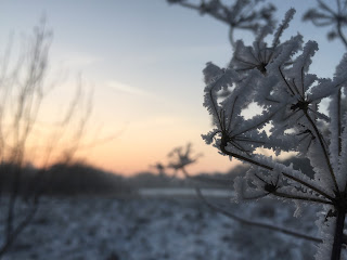 Winter am Ammersee