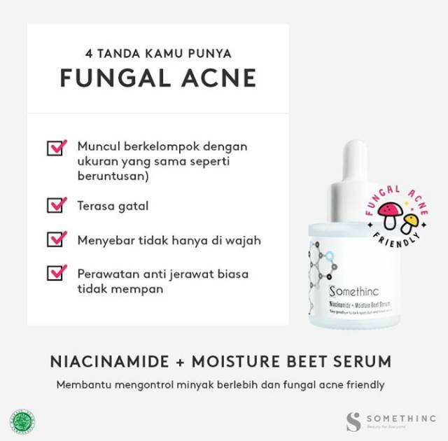 Harga serum somethinc untuk jerawat