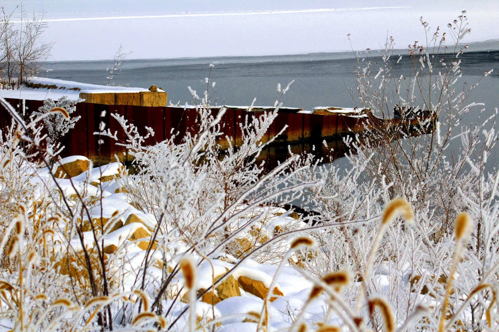 Lisa's Photo Collection Grey Cloud Island