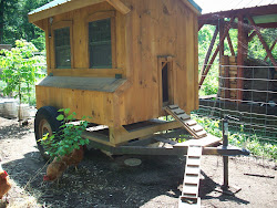 chicken coop portable coops trailer hoop moving animals chickens shelters houses building build hen runs acres trailers run backyard animal