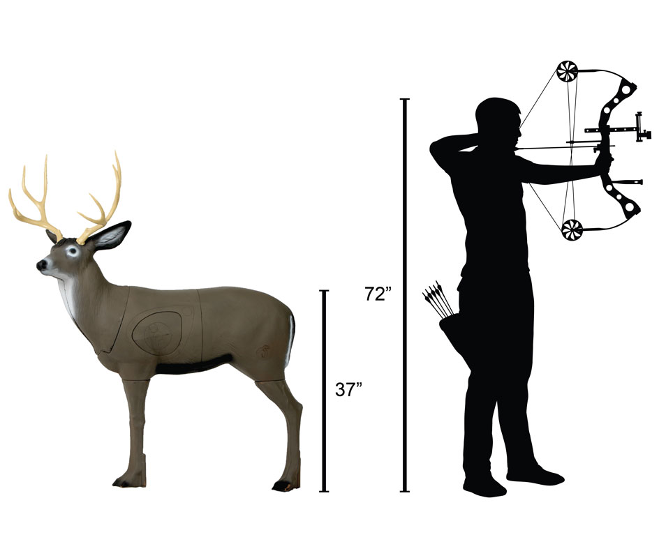 8 Awesome Blemished 3D Archery Targets To Buy Archery Hacks