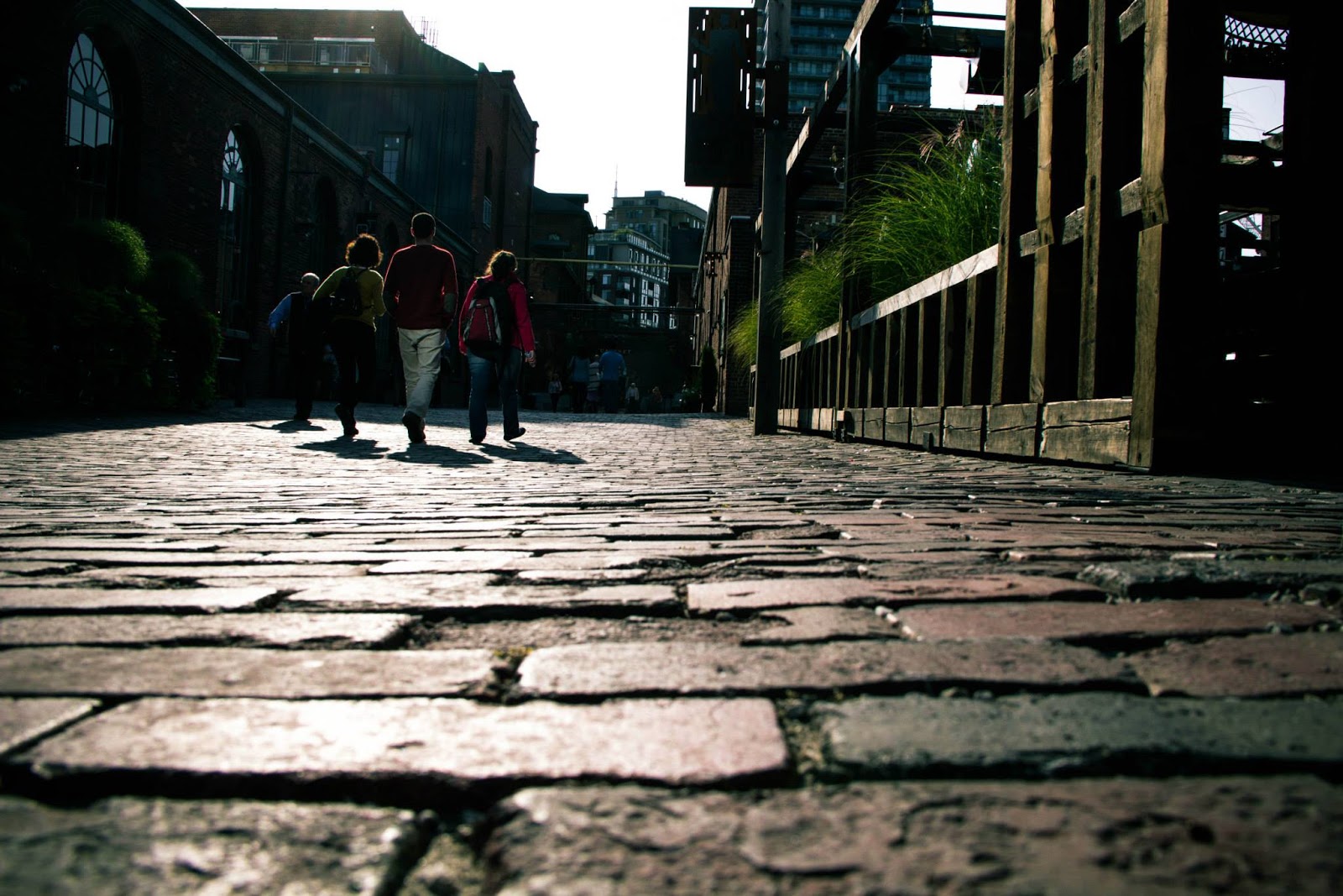 Elal Lasola Travel & Photography Snapping Toronto FlightHub’s Best