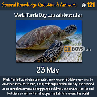 World Turtle Day was celebrated on ?