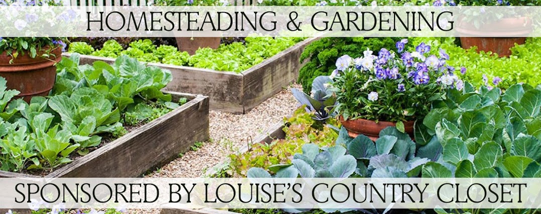 Homesteading and Gardening