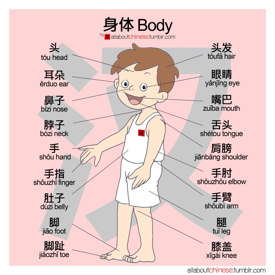 Chinese Body Chart