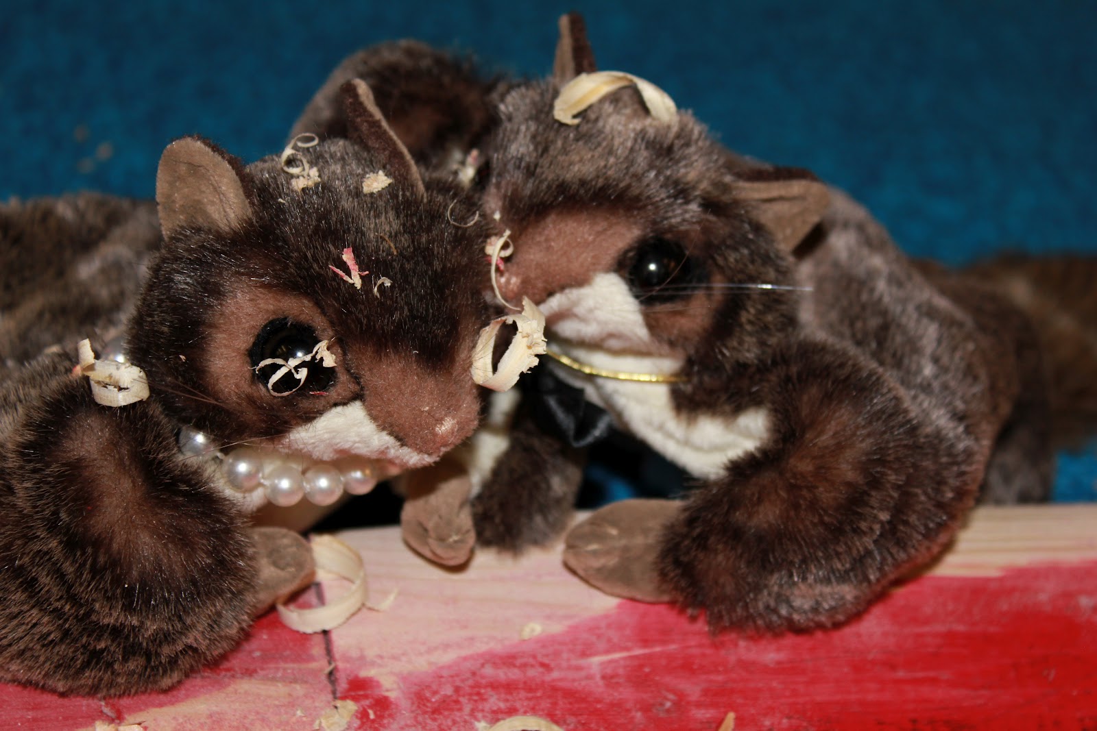 House of Flying Squirrels A Year of Martial Arts MovieMaking Insanity