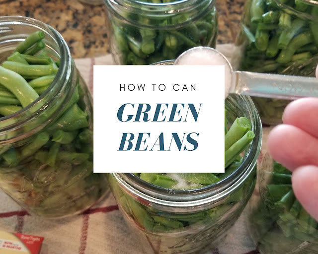How to Pressure Can Green Beans