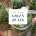 How to Pressure Can Green Beans