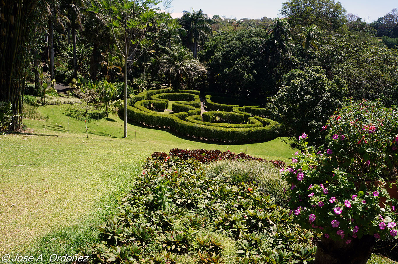 El Jardín de la Barrosa: Viajes recientes. Jardines tropicales: El
