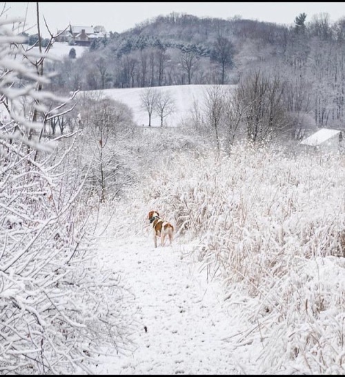tumblr_98c2500c2fac73a9660f1439b7348187_3fe50b01_500.jpg