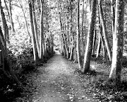 Camino en blanco y negro (camino en blanco negro)