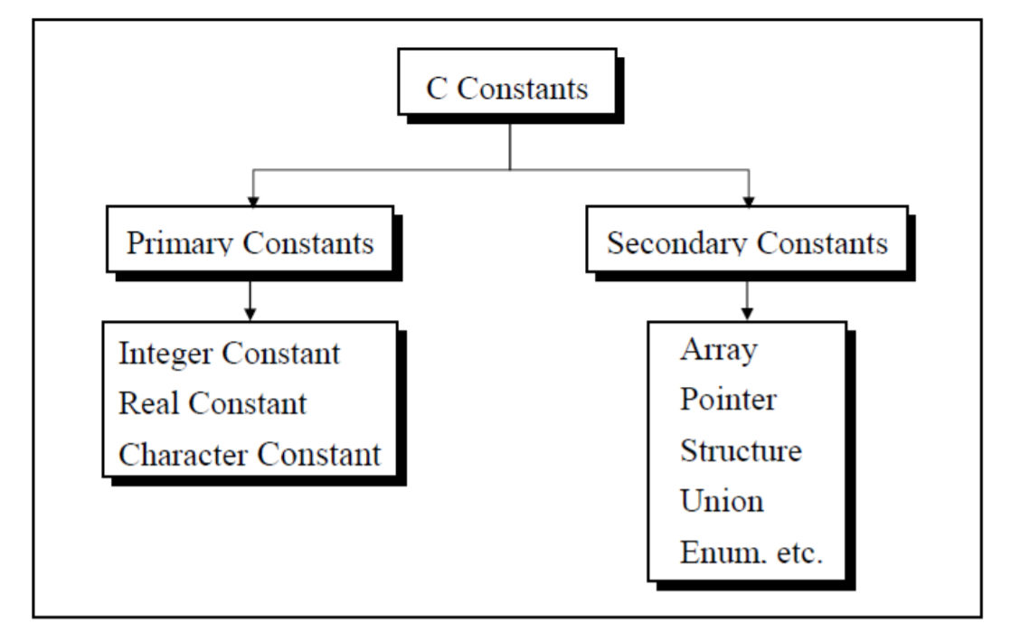 Constants and Variables in C Program | Tutorial for beginners | Coding ...