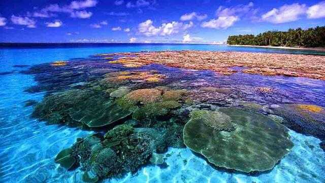 Explore the Beauty of Bunaken Marine Park