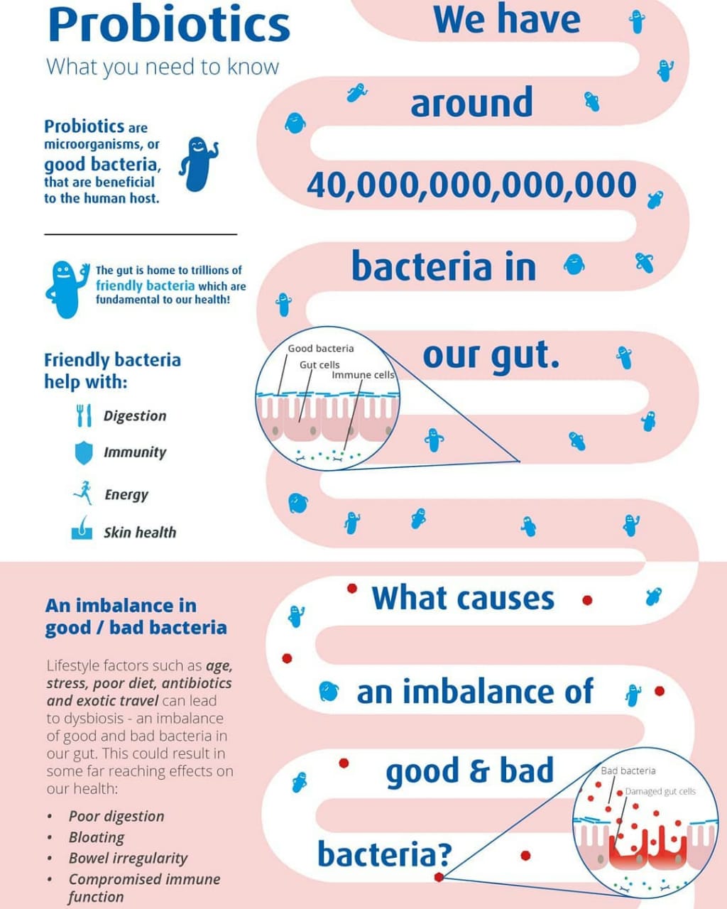 Probiotics What do probiotics do? , What are probiotic strains?