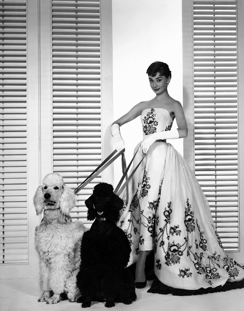 Stunning Image of Audrey Hepburn in 1954 