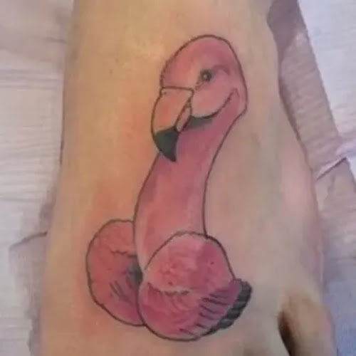 cock bird