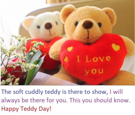 टेडी डे फनी जोक्स(Teddy Day Funny Jokes)
