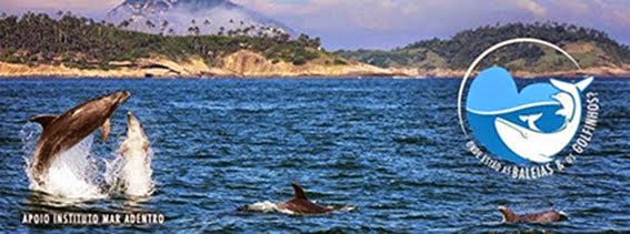 ONDE ESTÃO AS BALEIAS E OS GOLFINHOS?