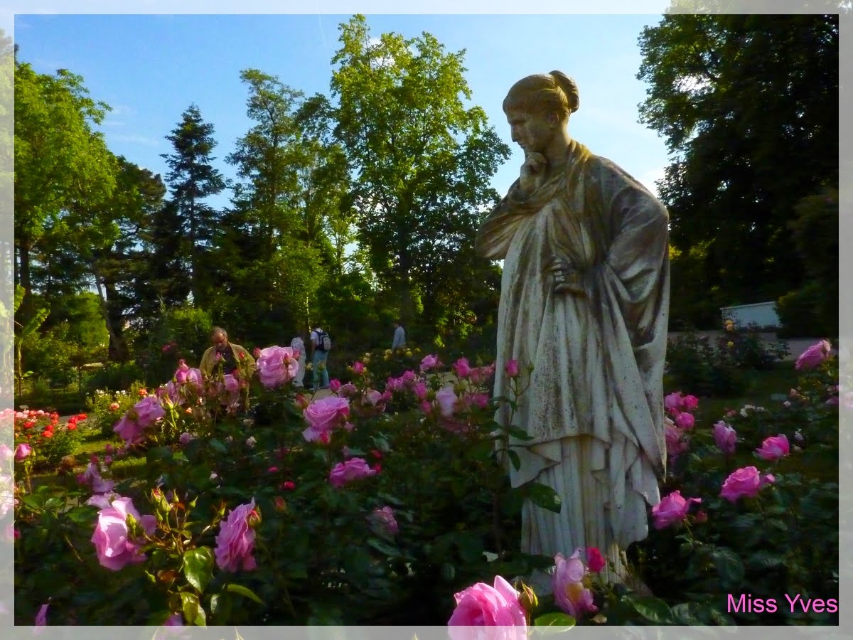 Photograff: Roseraie-jardin du Thabor-Rennes
