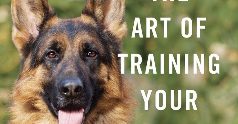 Terrierman's Daily Dose: The Best Book on E-Collar Training