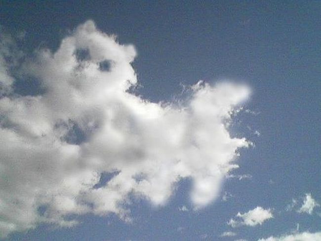 forme-nuage-chat.jpg