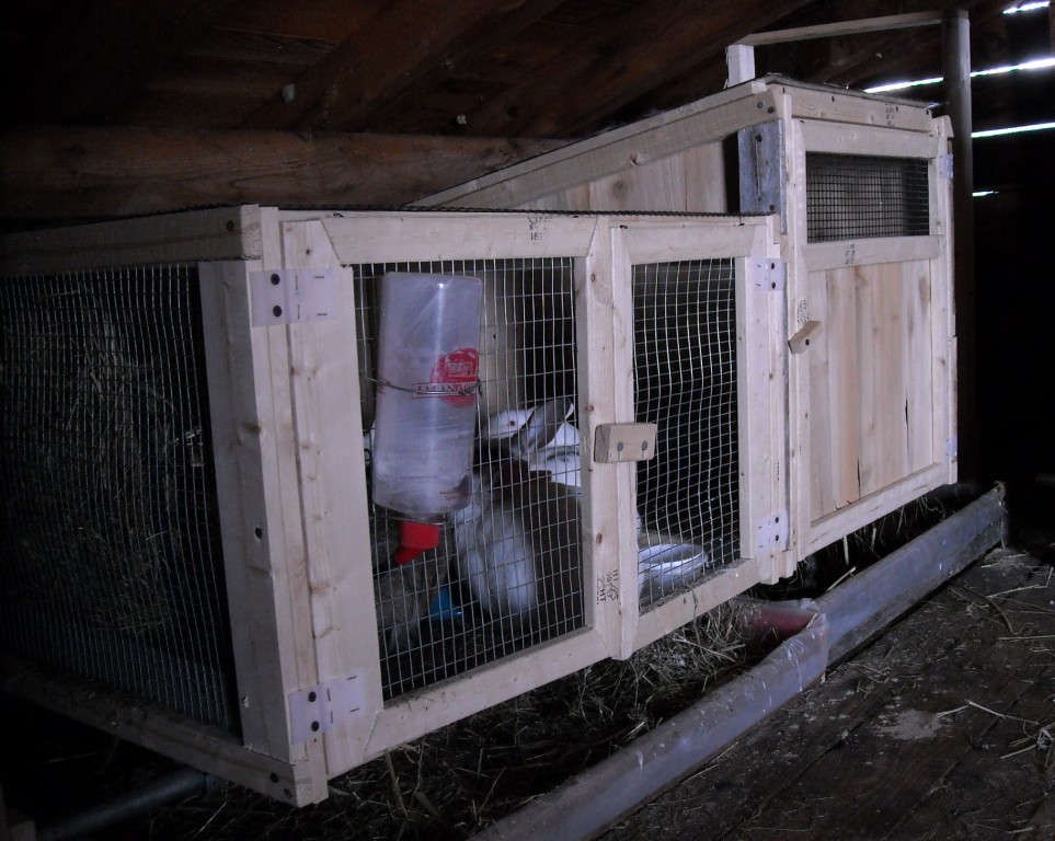 Stark Hollow Farm CustomMade Rabbit Hutches Make for Sweet Living