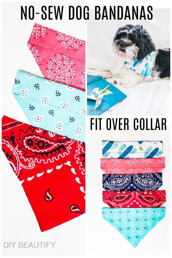 How to Make NoSew OvertheCollar Bandanas for your Dog DIY Beautify