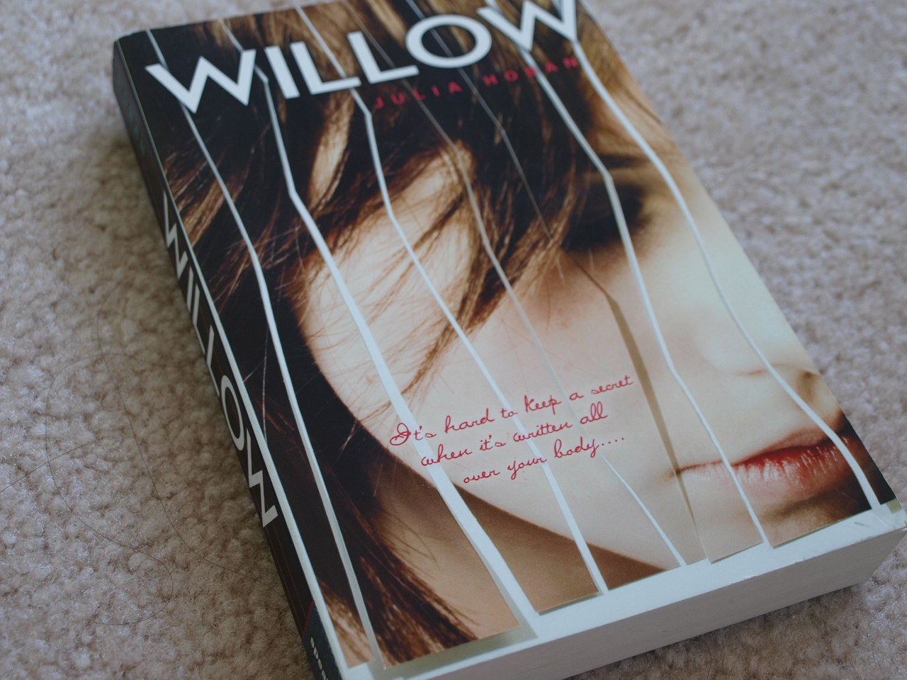 JULIA HOBAN WILLOW PDF