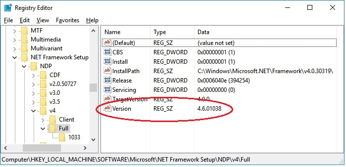 microsoft net value