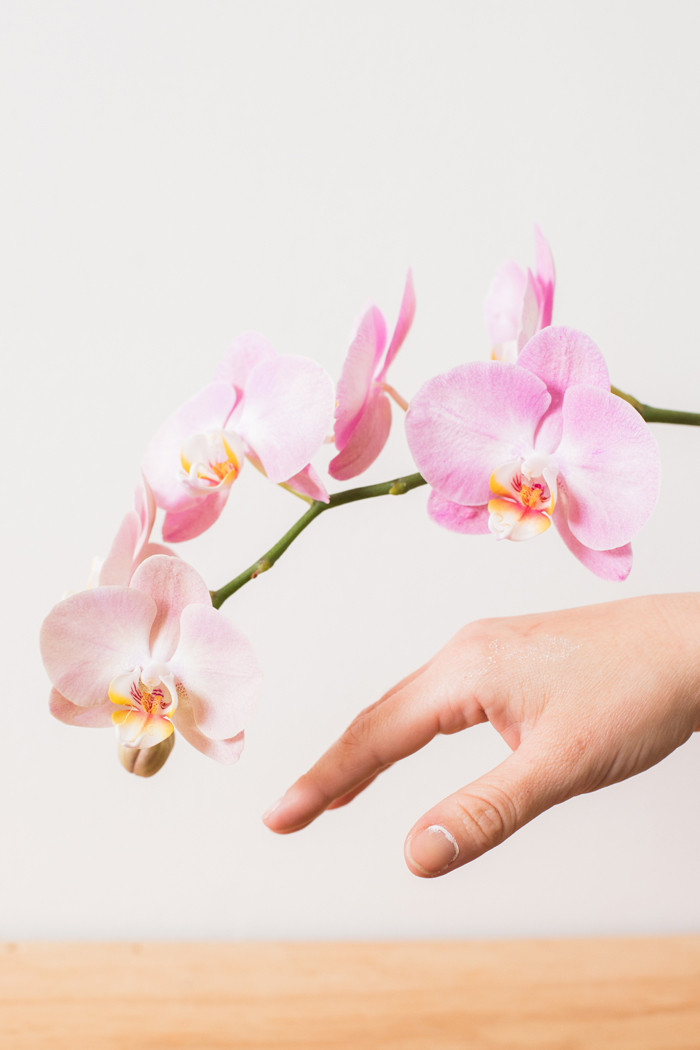 pink orchid and hand