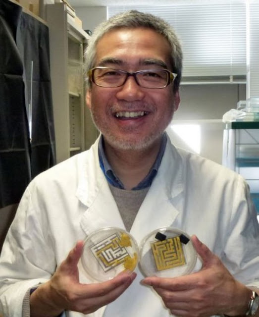 Профессор Университета Хоккайдо Тосиюки Накагаки