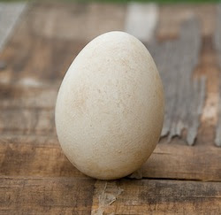 Samantha Gentry's Blog