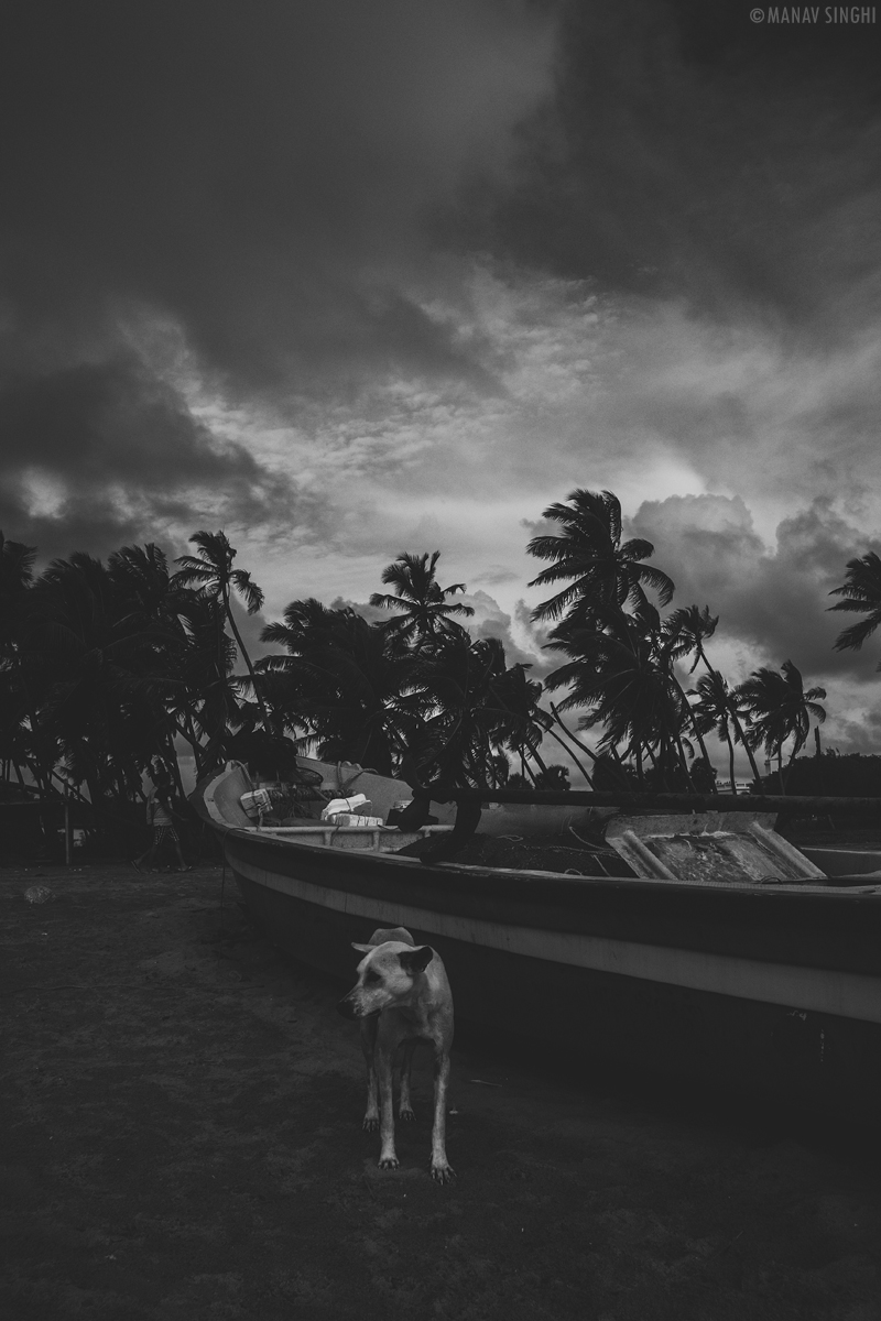 Shot at Fisherman Area near Le Pondy Beach Resort, Pondicherry - 29-Oct-2019