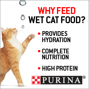 Purina|fancy feast