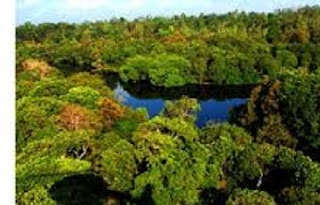 Pengertian Dan Contoh Fenomena Biosfer