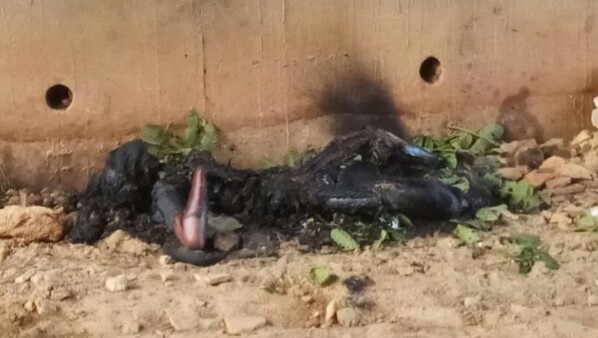 আবারও তেলেঙ্গানার সেই সামসাবাদে উদ্ধার মহিলার দগ্ধ দেহ, যৌন নির্যাতনের পরই খুন অনুমান পুলিশের 2 আবারও তেলেঙ্গানার সেই সামসাবাদে উদ্ধার মহিলার দগ্ধ দেহ, যৌন নির্যাতনের পরই খুন অনুমান পুলিশের