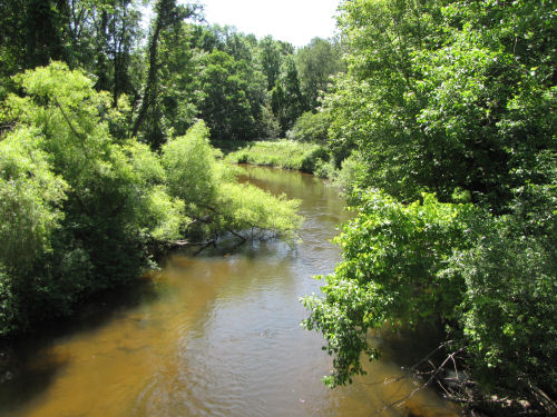 South Branch of the Pere Marquette River