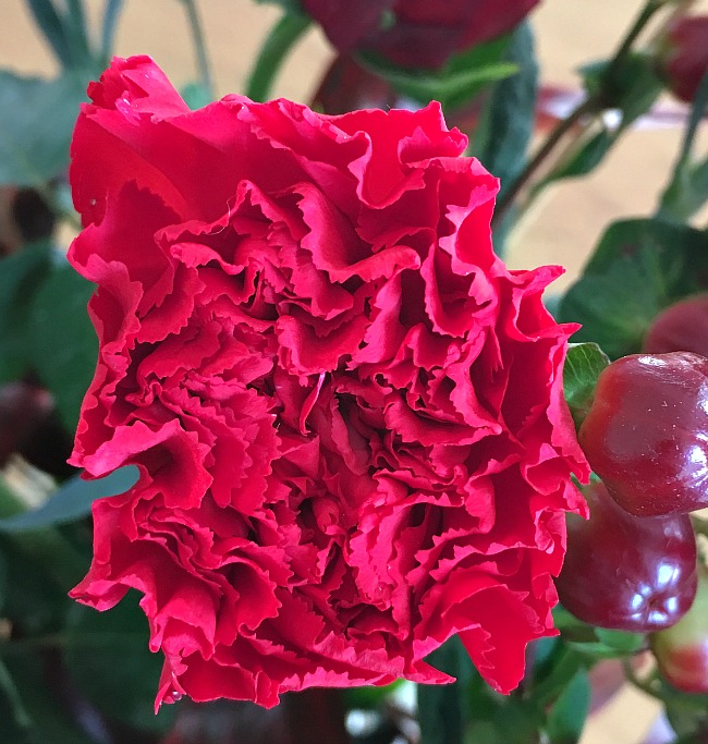 red-carnation-from-prestige-flowers-festivity-bouquet