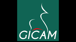 Le GICAM recrute consultant